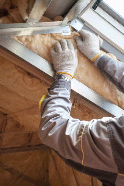 Best Spray Foam Insulation in Delmar, MD