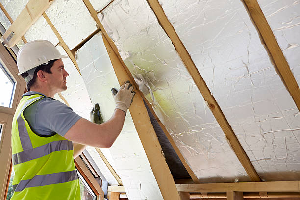 Best Cellulose Insulation in Delmar, MD